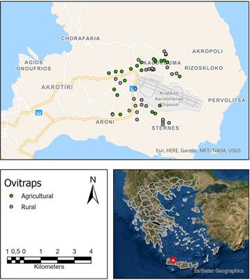 Spatial and Temporal Dynamics of Aedes albopictus Populations in Rural and Agricultural Areas in Chania, Greece, After Its Invasion